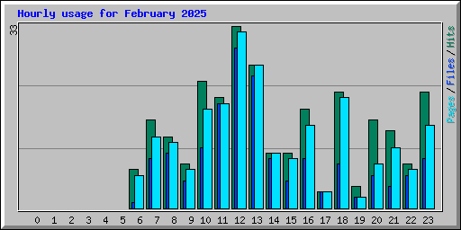 Hourly usage for February 2025